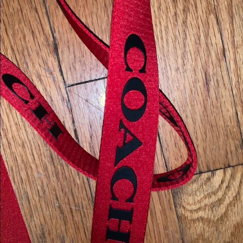 Coach belt